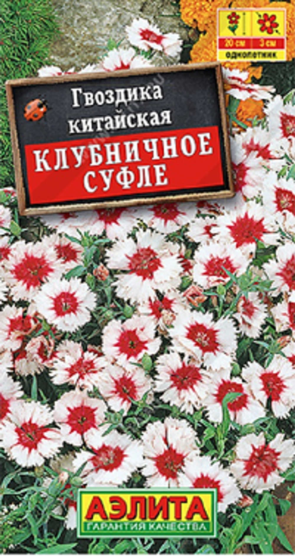 Гвоздика китайская Клубничное суфле