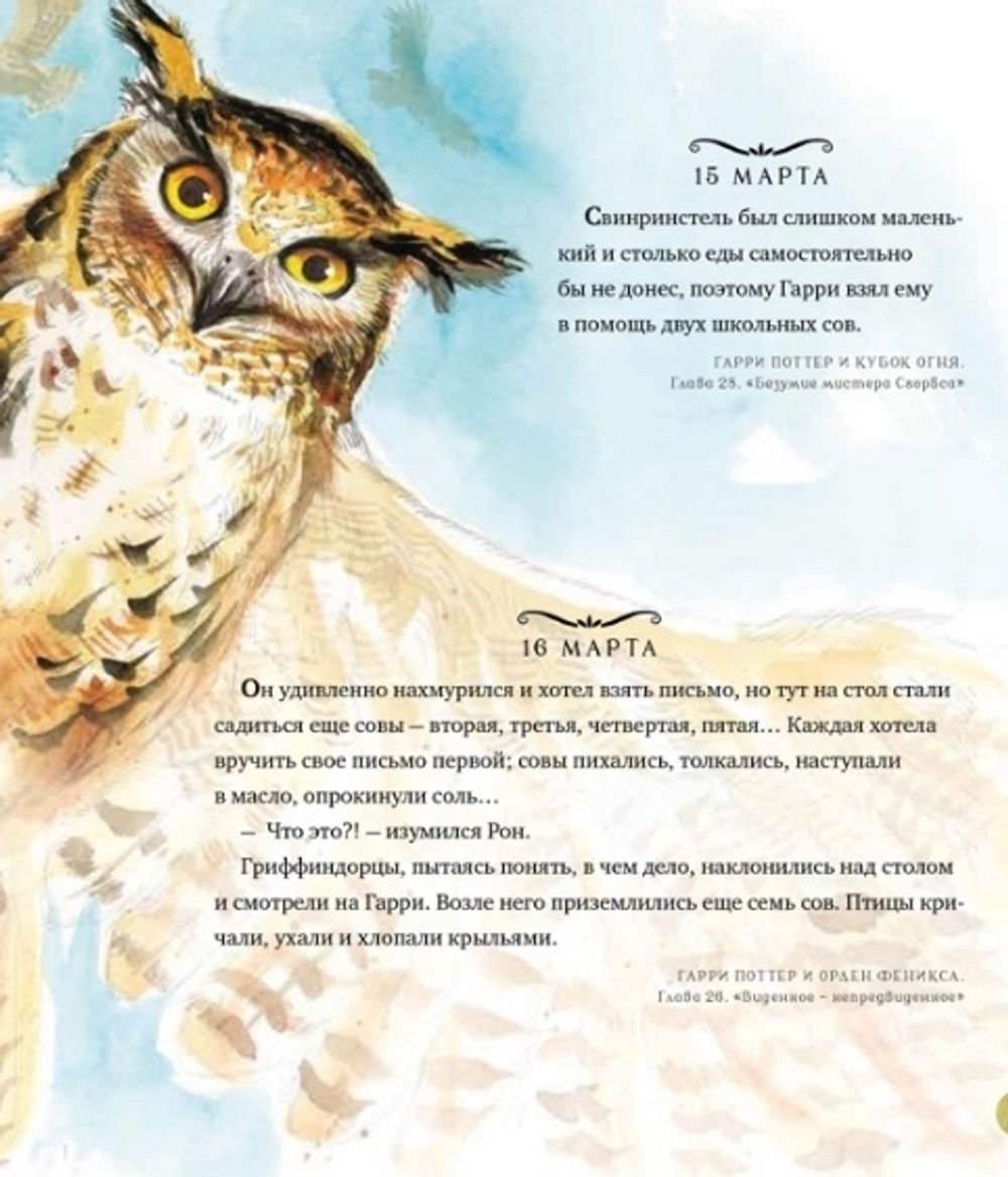 Гарри Поттер. Год с волшебством