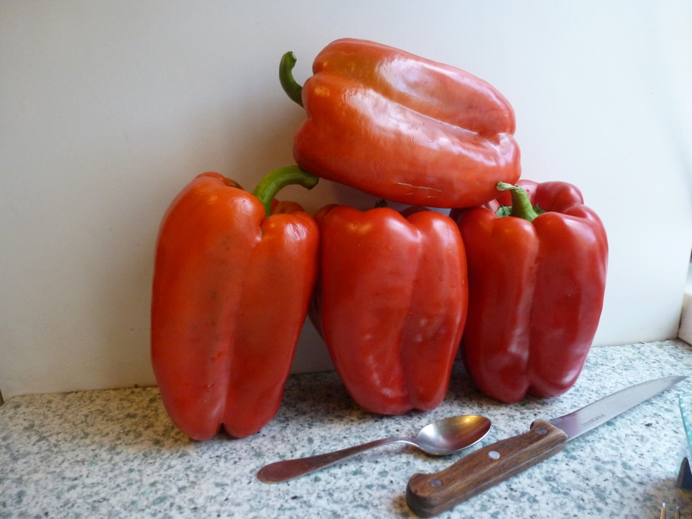 Перец Сладкий Гигантский — Big Bertha - Большая Берта