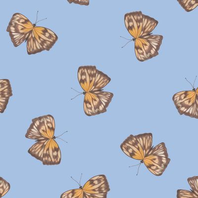 Оранжево-коричневые бабочки на голубом фоне