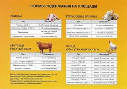 Ферментационная подстилка Bioside «Для птенцов» 150гр