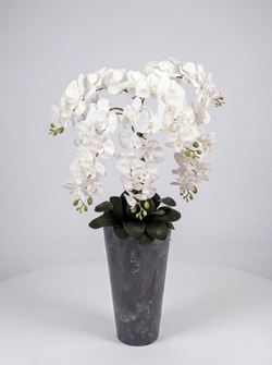 Искусственные орхидеи белые люкс 7 веток в кашпо Графит