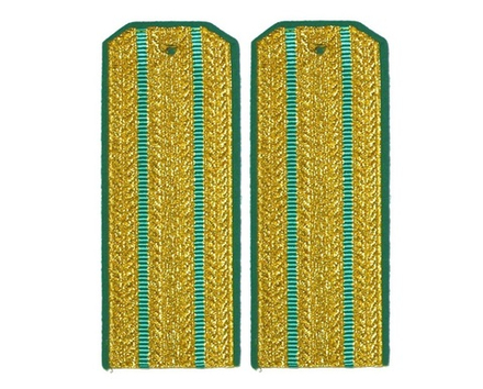Погоны парадные золотые металлизированные 2 зеленых просвета