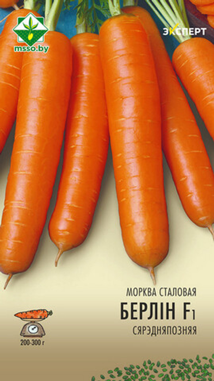 Морковь "Берлин F1" 0,3г, Нидерланды.
