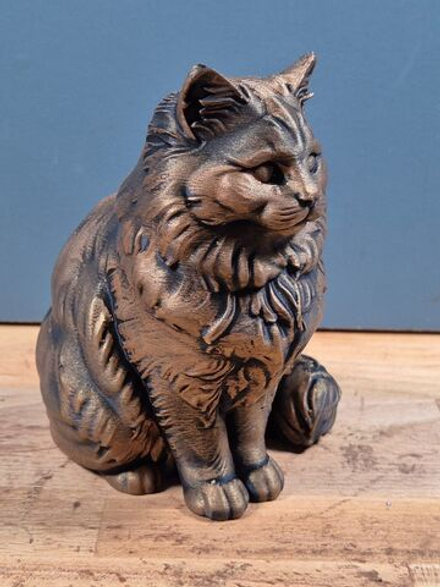 Рэгдолл кошка