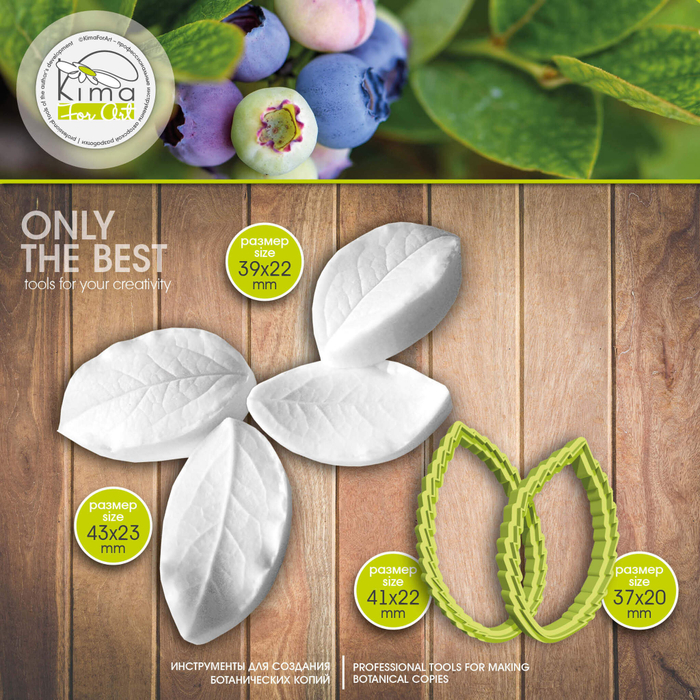 Черника / голубика листья