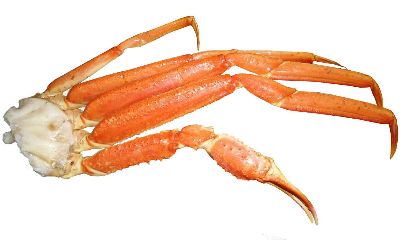 Клешни камчатского краба l2. Клешни камчатского краба l1. Клешня краба id. Клешня. Лапки краба.