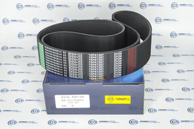 Ремень 15РК1287 WP13 Qinyan 1000578844