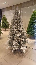 Заснеженная Ель «ФОРЕСТО ПРЕМИУМ» высота  1.2 м