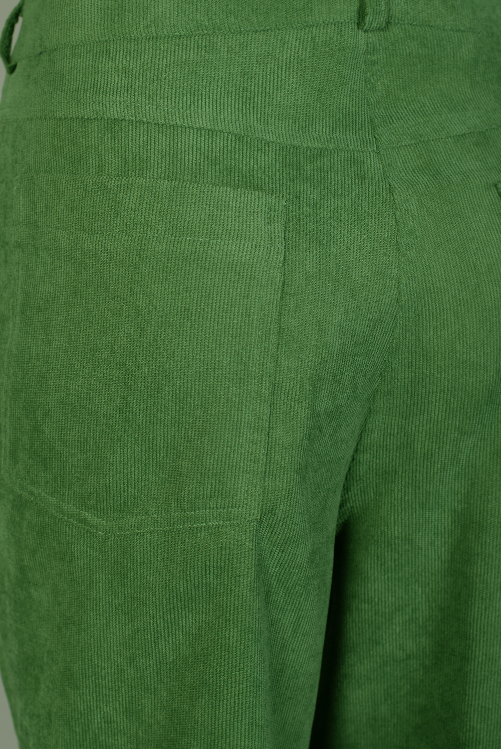 Брюки женские 3605ЛП, Папоротник #319Пап023605ЛП