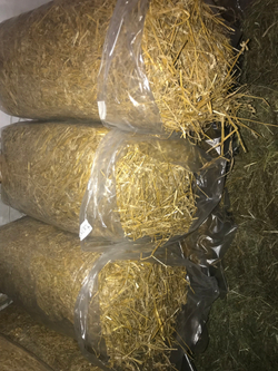 Солома пшеничная золотистая сухая, 12-16 кг