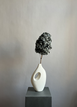 Гортензия стабилизированная черная крупнолистная