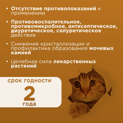 Кормовая добавка для нормализации и улучшения мочевыделительной системы и профилактики цестита, суспензия для кошек Стоп-цистит БИО (Apicenna), 30мл