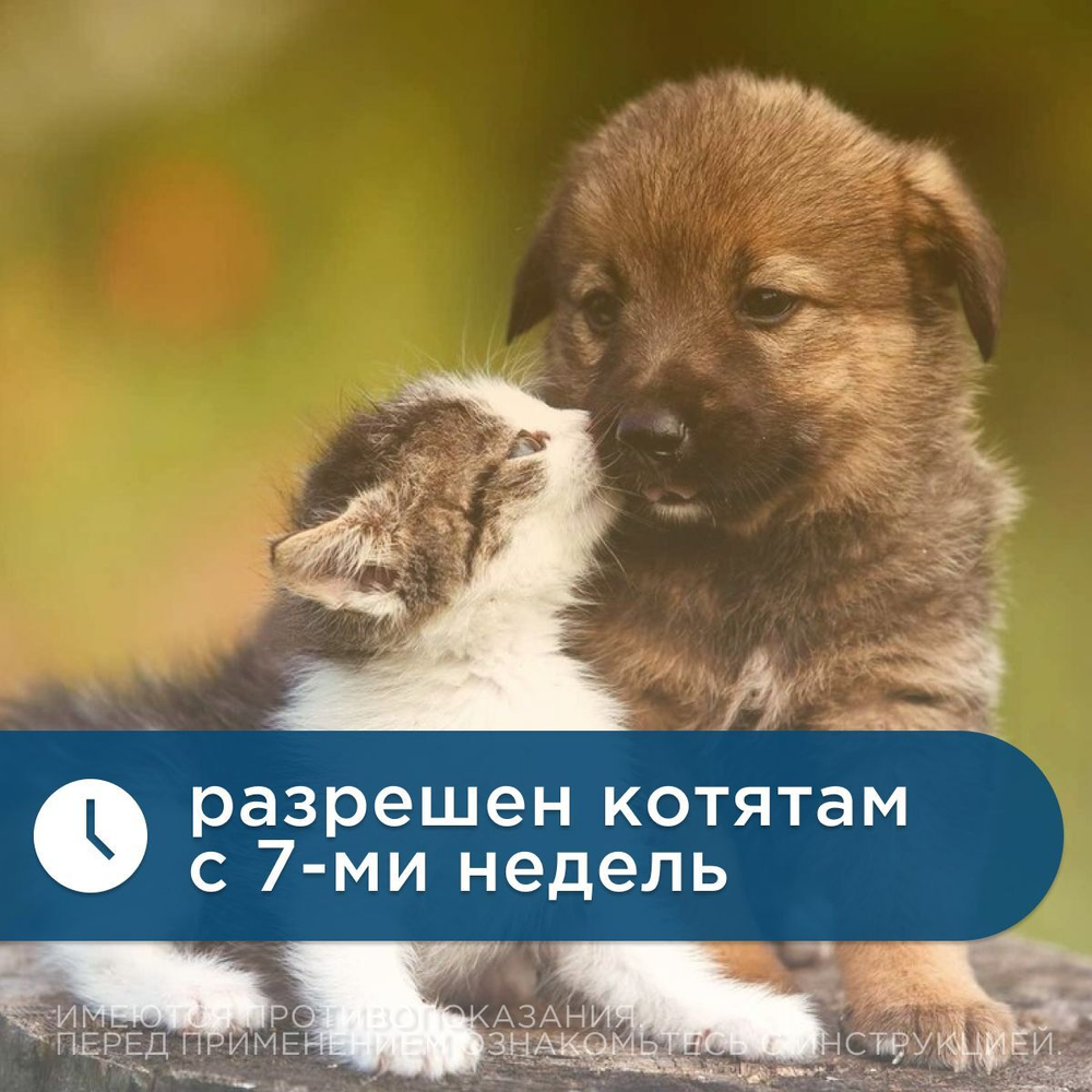 Спрей для лечения и профилактики арахноэнтомозов и профилактики дирофиляриоза у собак и кошек Фолайн НЕО (Pharmbiomed), 100мл Аверсектин/Фипронил