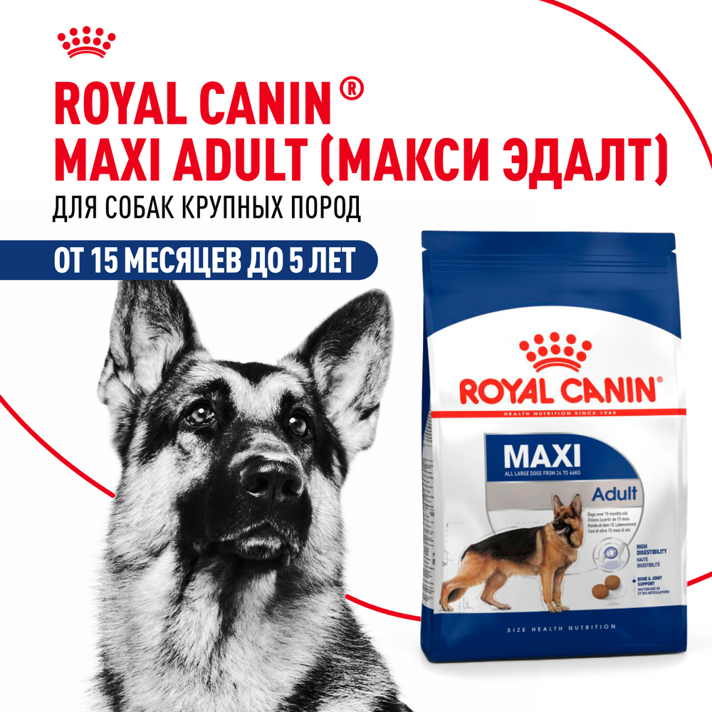 Royal Canin Maxi Adult Корм сухой для взрослых собак крупных размеров от 15 месяцев до 5 лет 15 кг