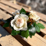 Крим Пьяже – композиция элегантных ароматных пионовидных роз