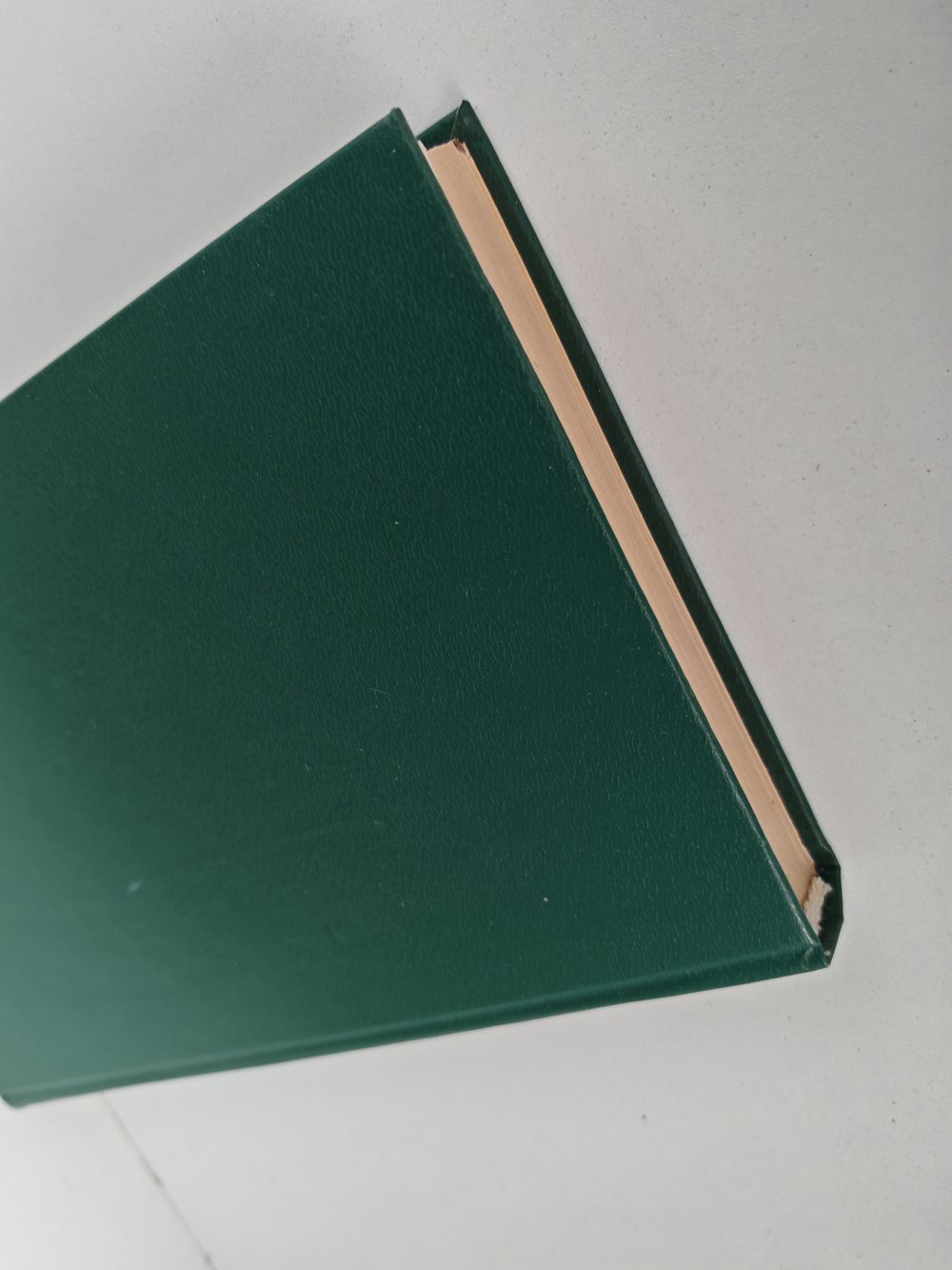 Брынский лес