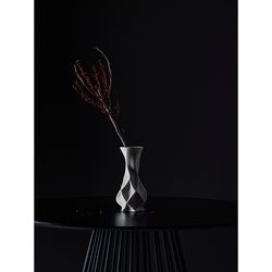 Ваза для сухоцветов Printed Art, Curve, 25 см