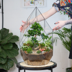 Флорариум бонсай Кармона Фаберже