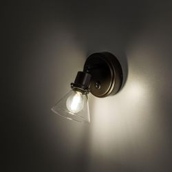 Citilux Трек Бисмарк CL564511 Спот с выключателем Венге