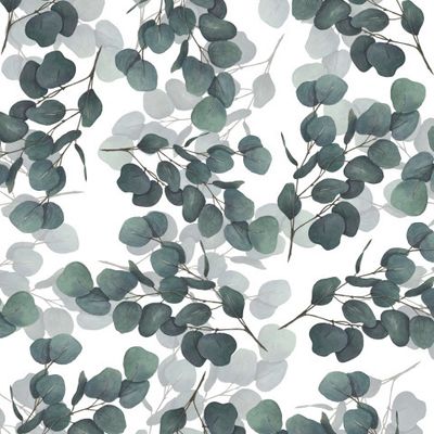 Ветка эвкалипта