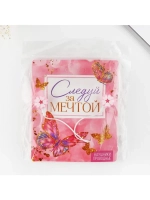 Наушники вакуумные, «Следуй за мечтой», мод. OBT 1.3, 120 см
