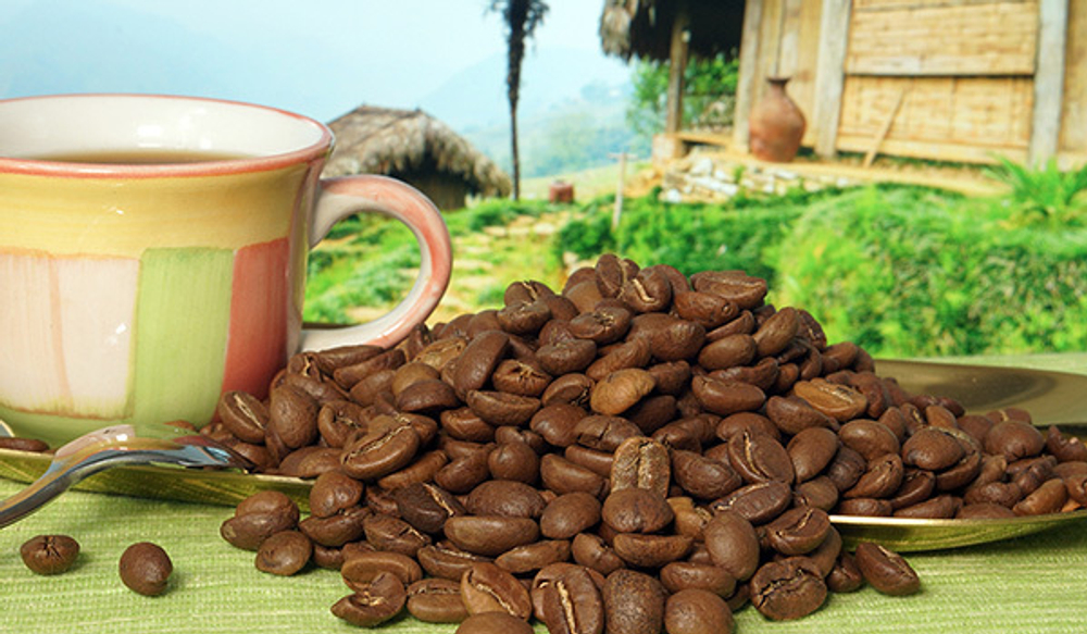 Кофе в зернах Santa Fe Вьетнам Dalat Арабика 1кг