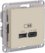 Розетка USB  Systeme Electric ATN001229