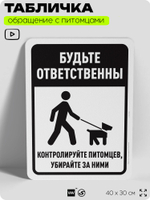 Табличка "Будьте ответственны, контролируйте питомцев и убирайте за ними" на дверь и забор, для двора, дома, подъезда, 40х30 см, Silver Plane x Айдентика Технолоджи