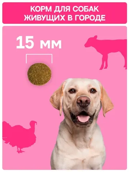 Сухой корм MOLINA SENSITIVE для взрослых собак средних и крупных пород с Индейкой и телятиной 12кг