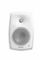 Genelec 4030CW