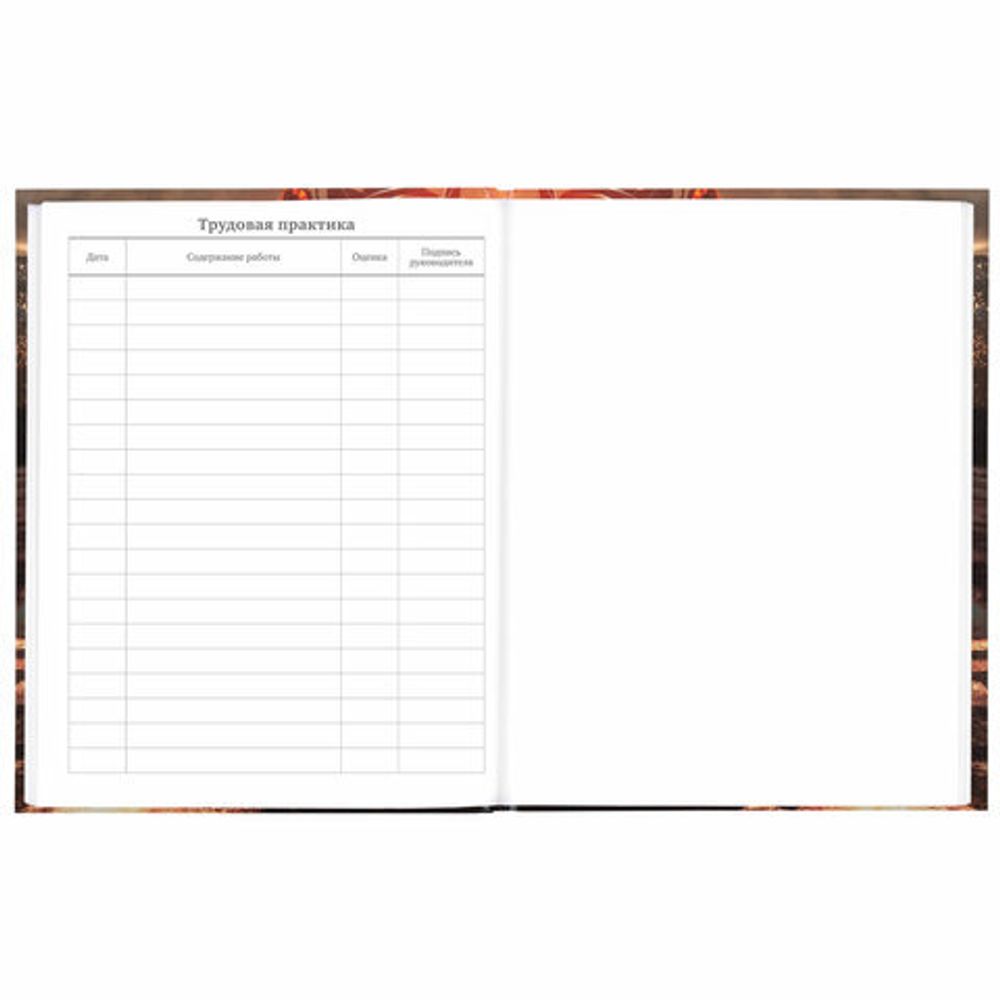 Дневник 5-11 класс 48 л., твердый, BRAUBERG, глянцевая ламинация, с подсказом, "Байк", 106867