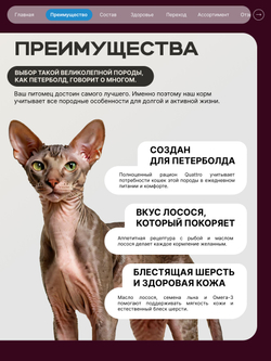Корм сухой для взрослых кошек породы Петерболд, с лососем, 2 кг, QUATTRO