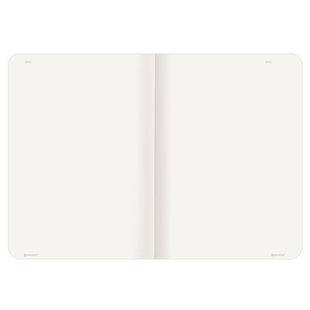 Тетрадь 48 л. без линовки обложка кожзам под замшу, сшивка, A5 (147х210мм), СЕРЫЙ, BRAUBERG CAPRISE, 403862