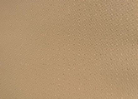 Профилактика листовая Bissell B6002 1мм (57х38см), бежевый