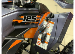 Квадроцикл RAPTOR 125