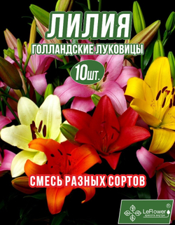 Лилия Луковица, Микс разные, 10 шт