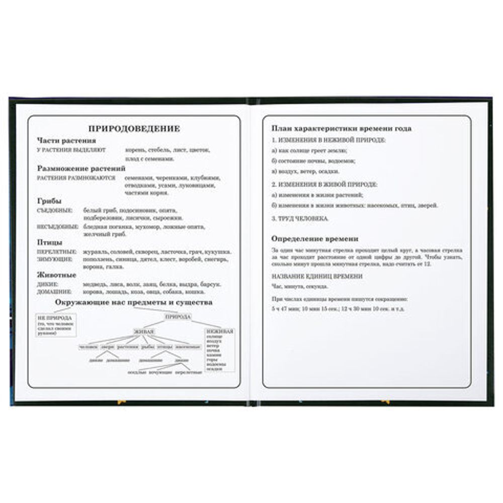 Дневник 1-4 класс 48 л., твердый, BRAUBERG, глянцевая ламинация, с подсказом, "Аниме котики", 106831