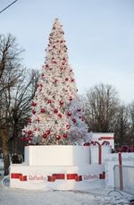 Уличная елка ствольная "Альпийская белая сосна" (Леска белая) 20 м