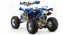 Квадроцикл Motoland 250 DAKAR
