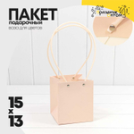 Пакет подарочный 15х13х13см Ваза для цветов (Розовый)
