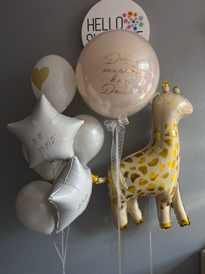 Сет Выписка Жираф