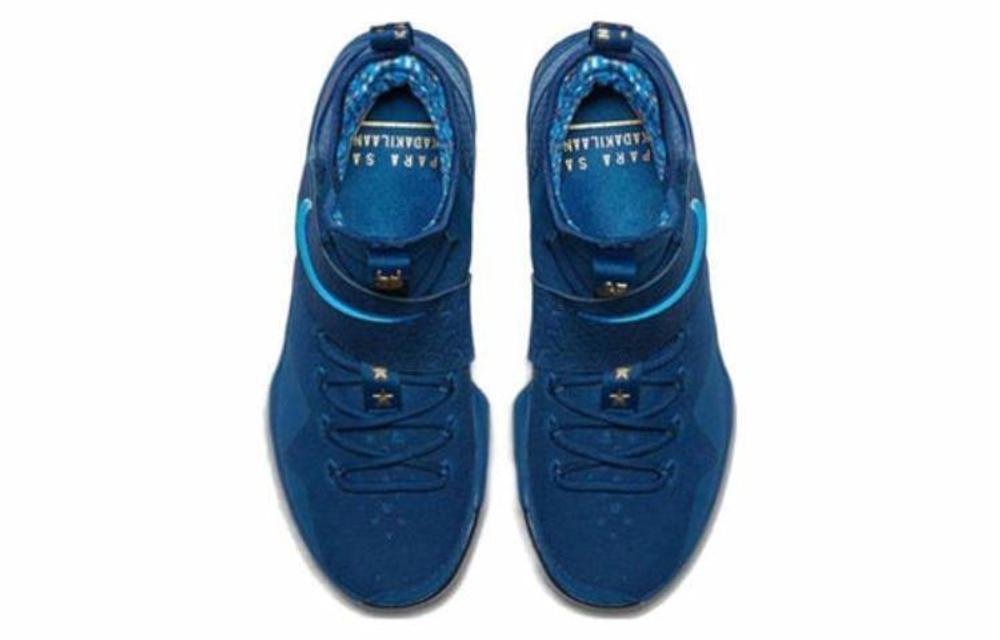 Кроссовки Nike Lebron 14 Agimat