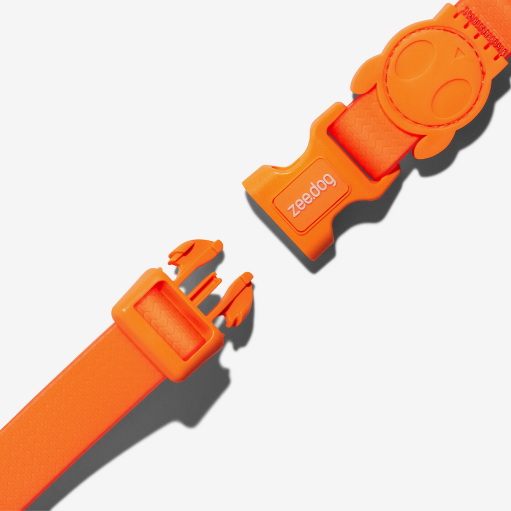 Ошейник NEOPRO TANGERINE Zee.Dog