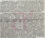 Бальзамин Беленс Красная звезда 5 шт СМЦ-256