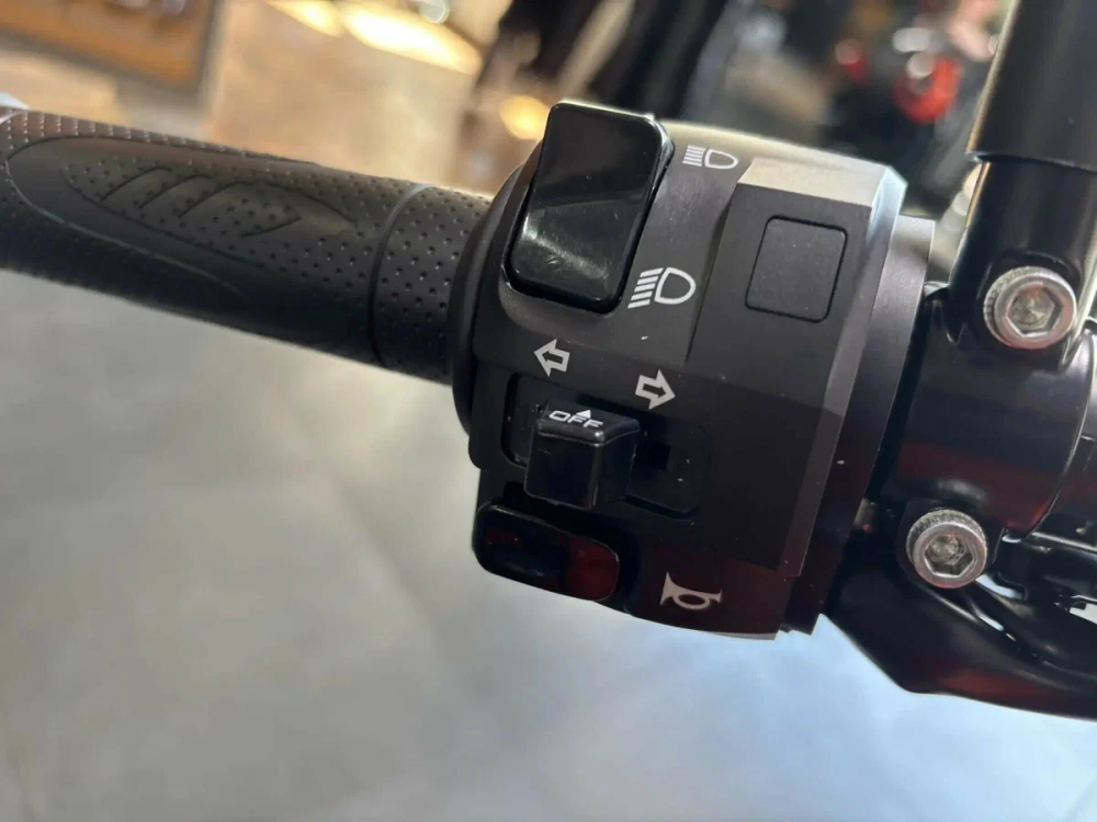 HARLEY-DAVIDSON X™ 500 2024 с НДС