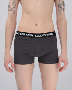 Трусы ANTEATER Boxers-Grey-Haki