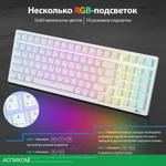 Клавиатура Royal Kludge RK98 Red switch/Klein Blue