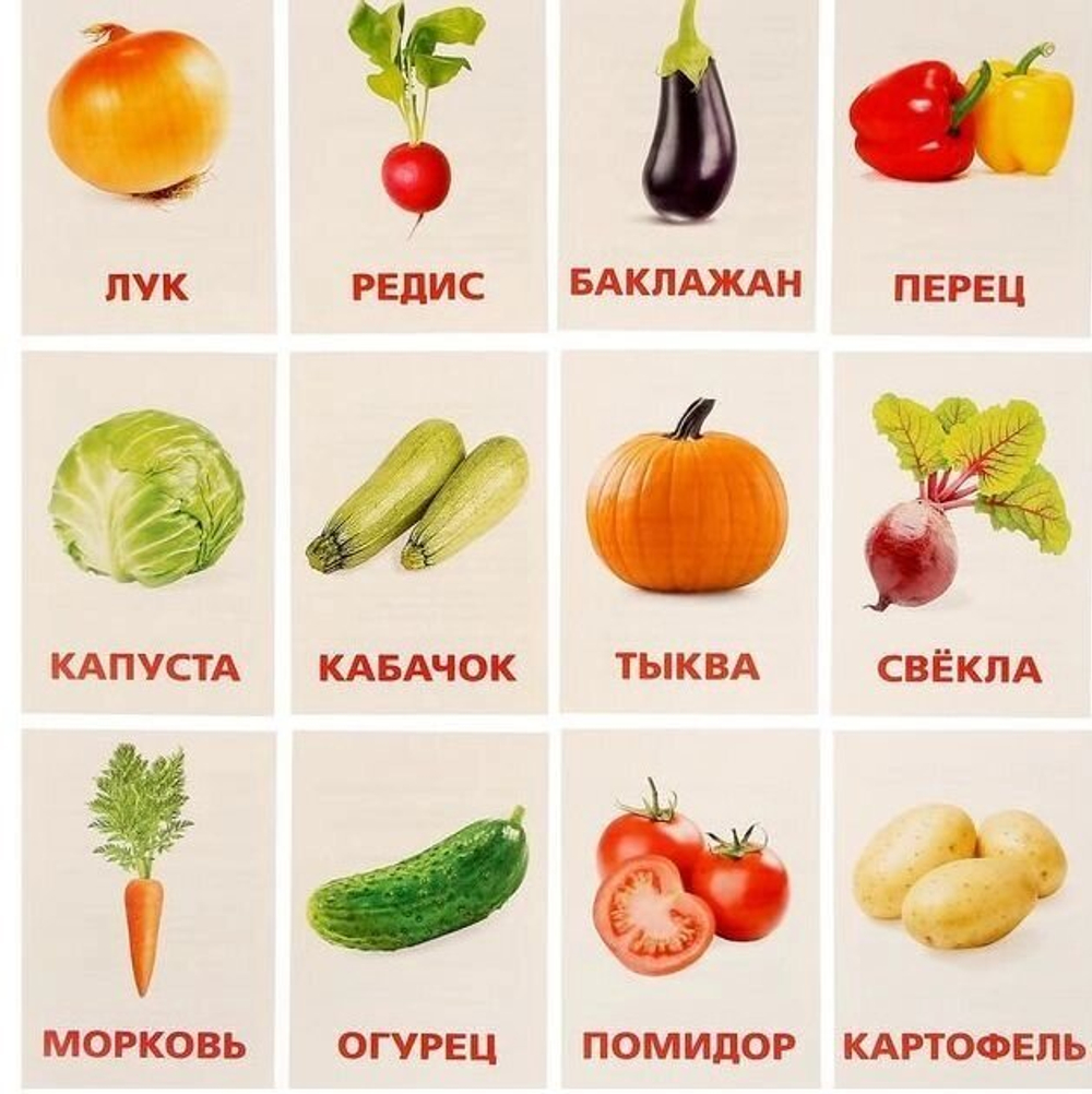 Обучающие карточки по методике Г. Домана "Овощи" 1716780