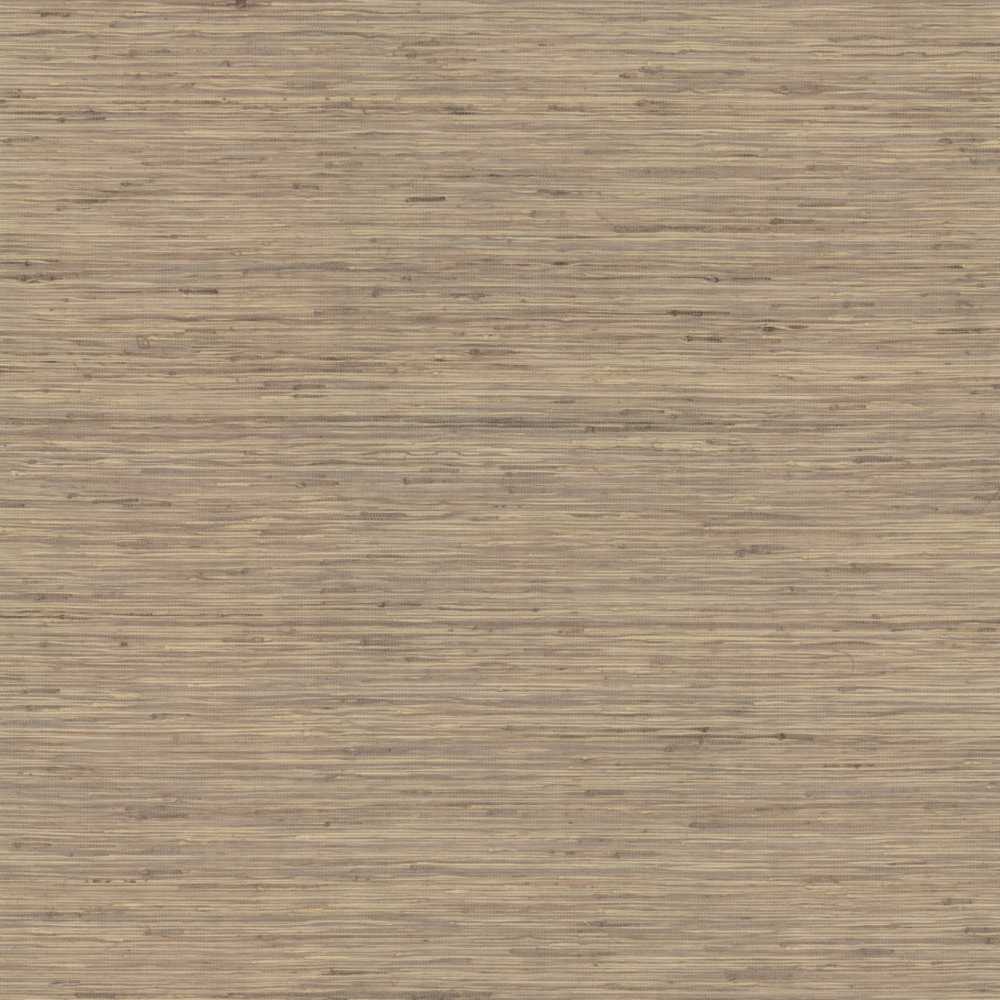 Ronald Redding Traveler